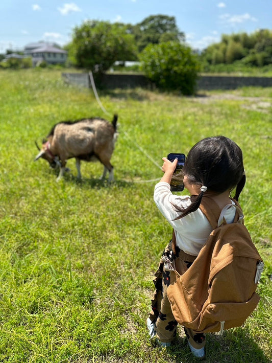 山羊のモモさんとお別れ