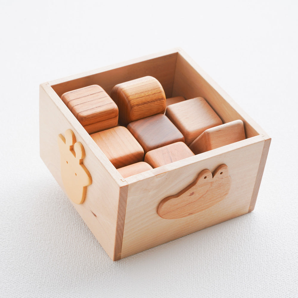 Baby Building Blocks Special
