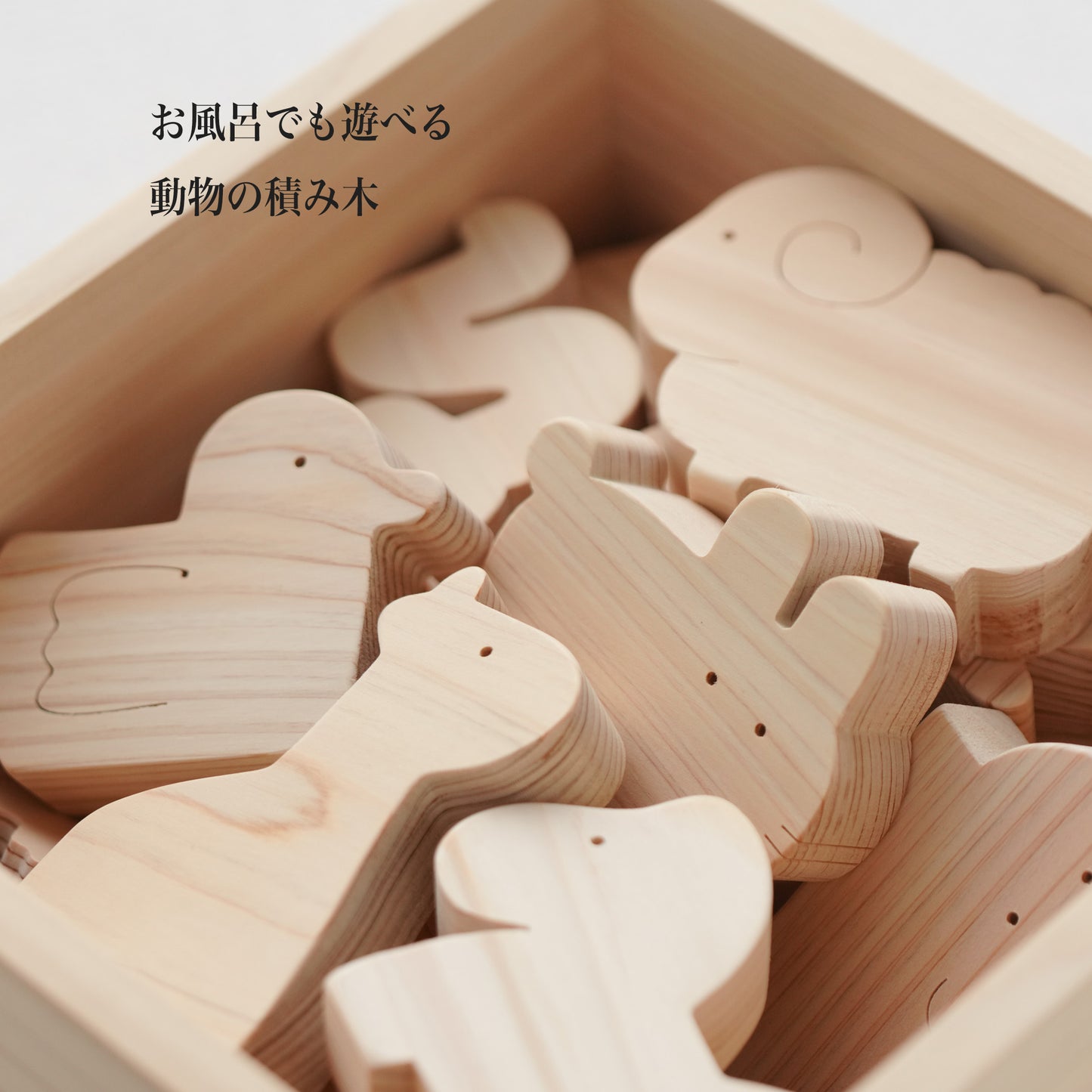 Animal Square Boxed