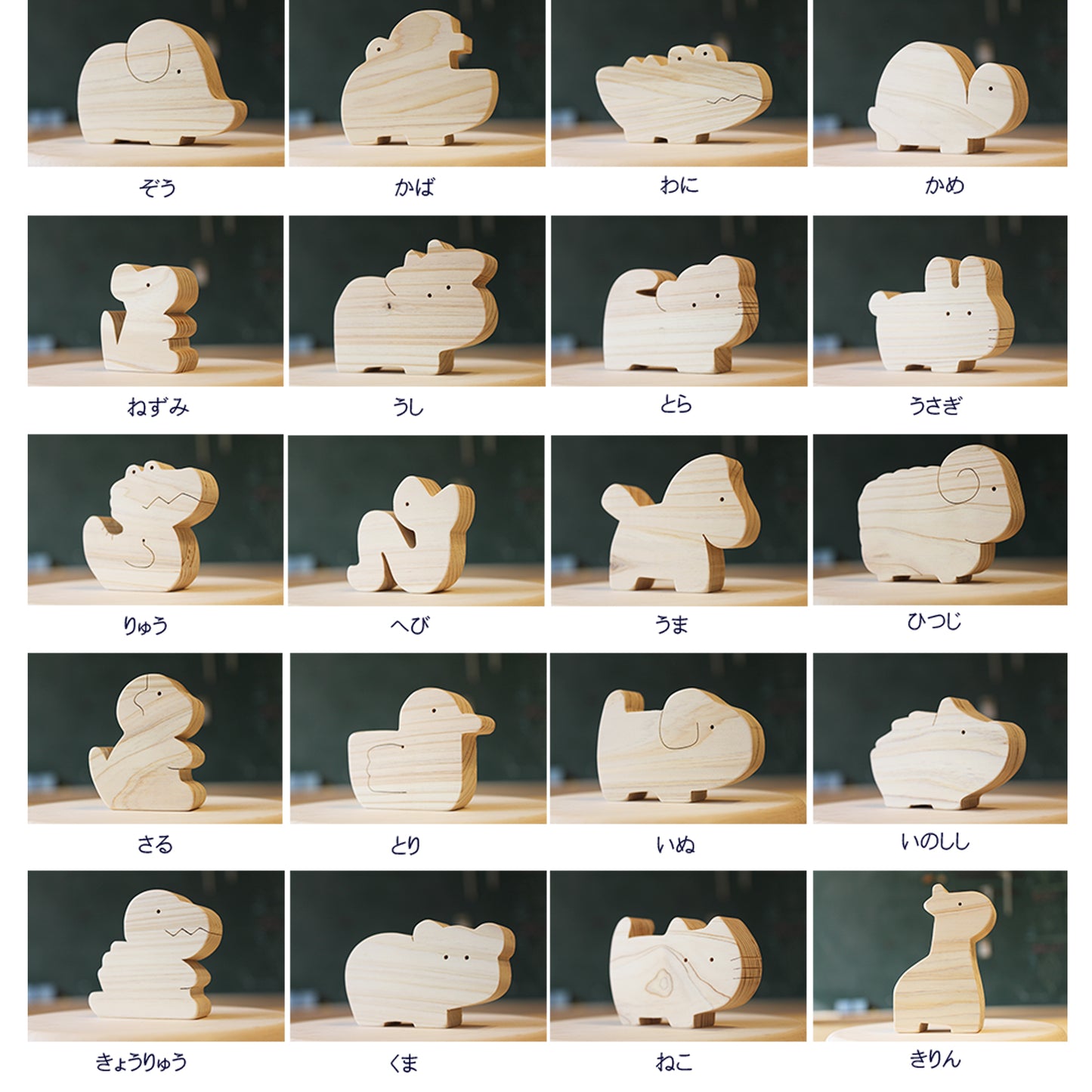 Animal Square Boxed