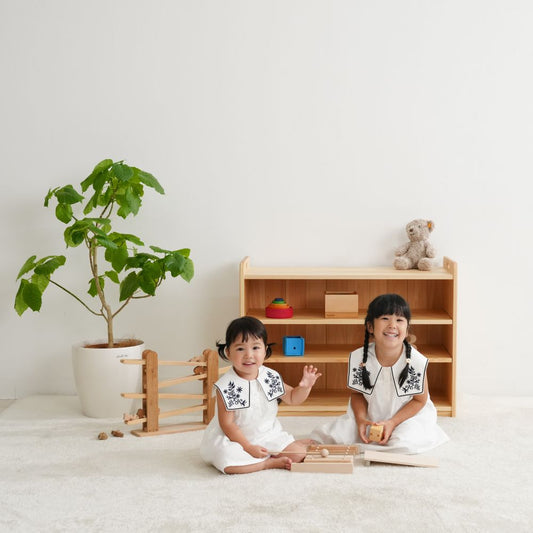 Toy shelf with handles