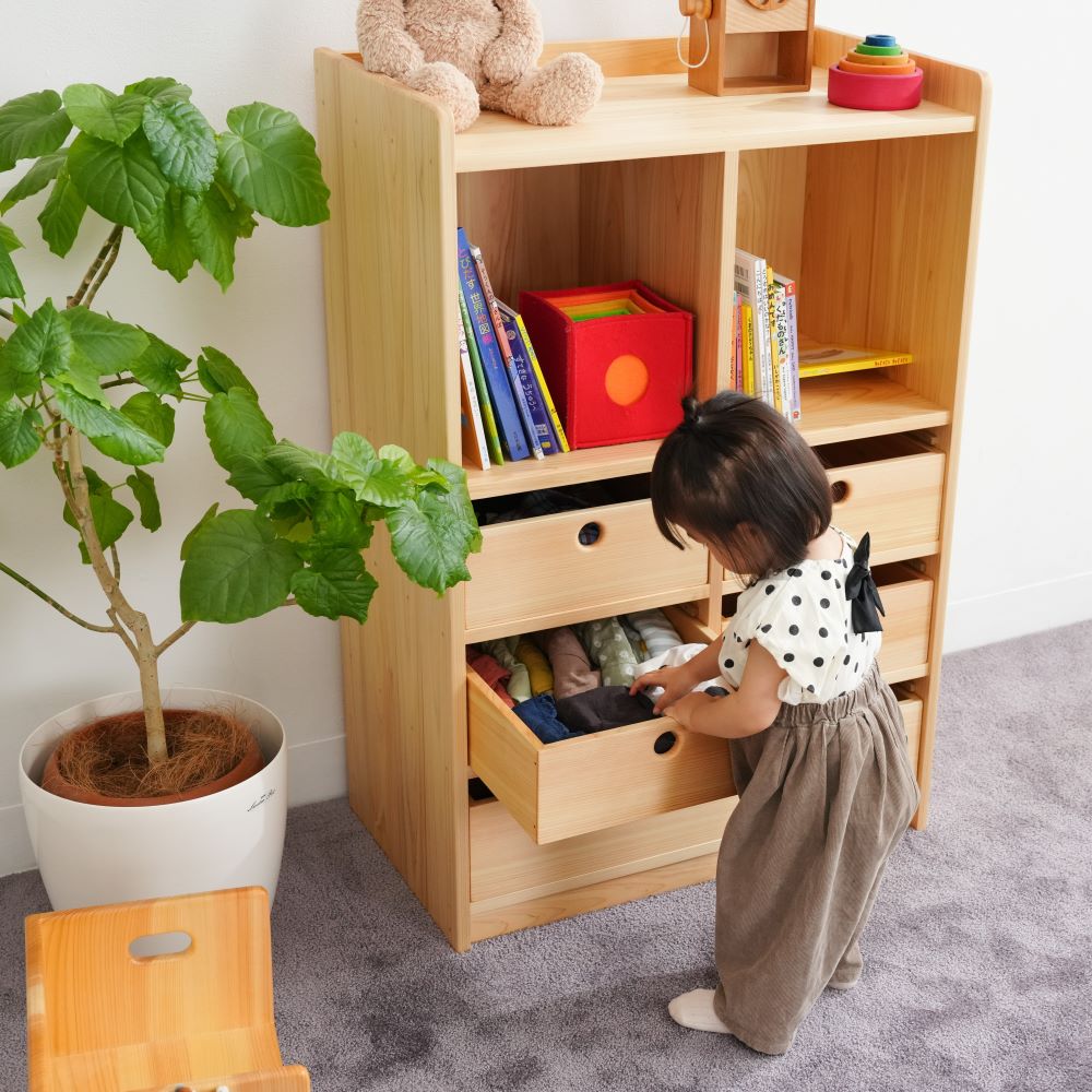 Bag and clothing storage shelves