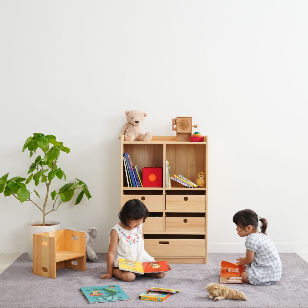 Bag and clothing storage shelves