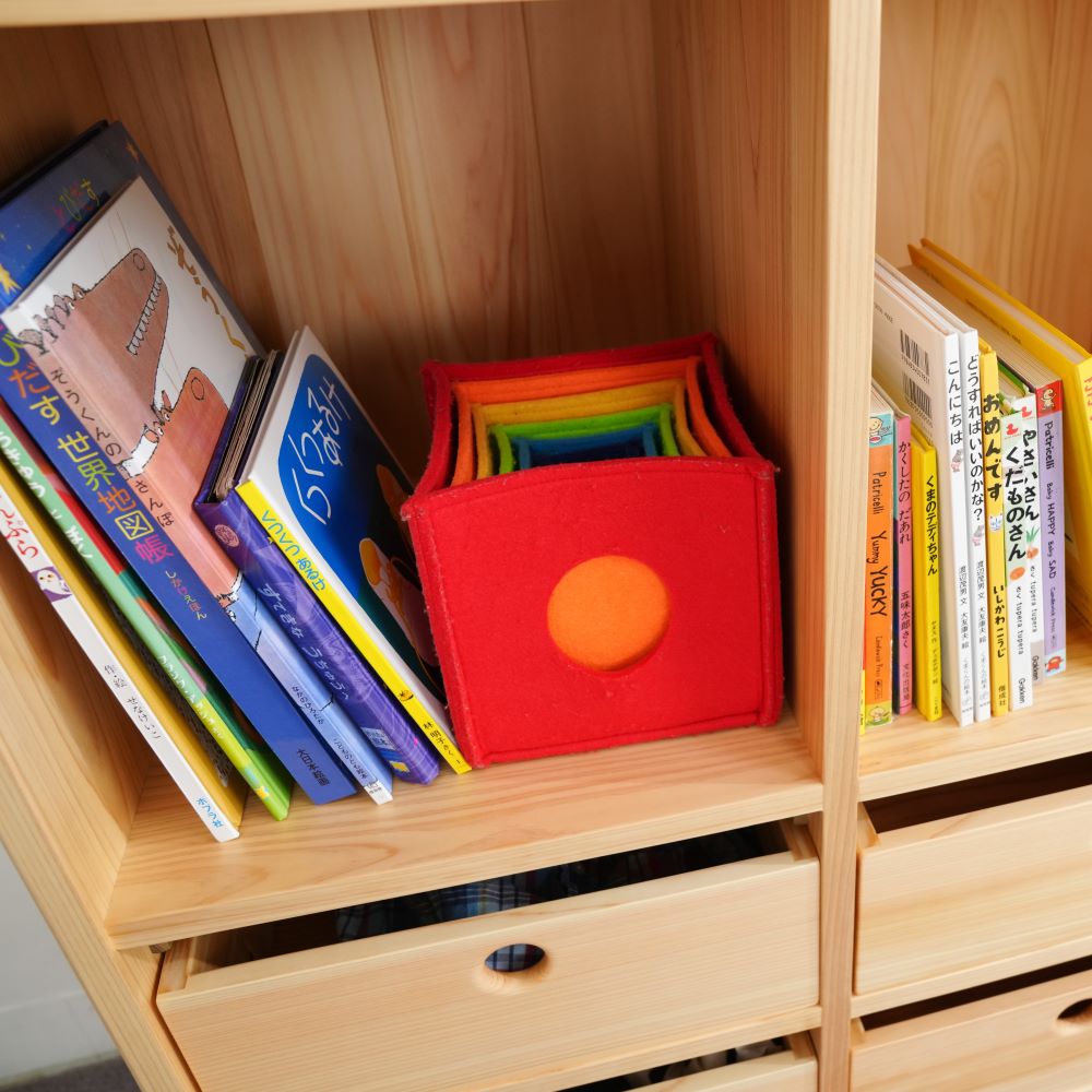 Bag and clothing storage shelves