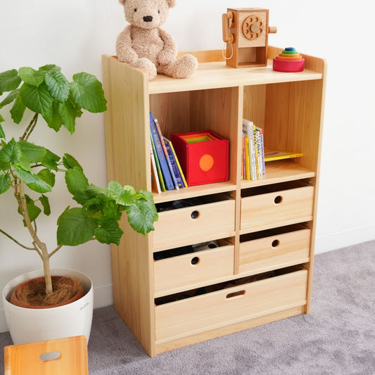 Bag and clothing storage shelves