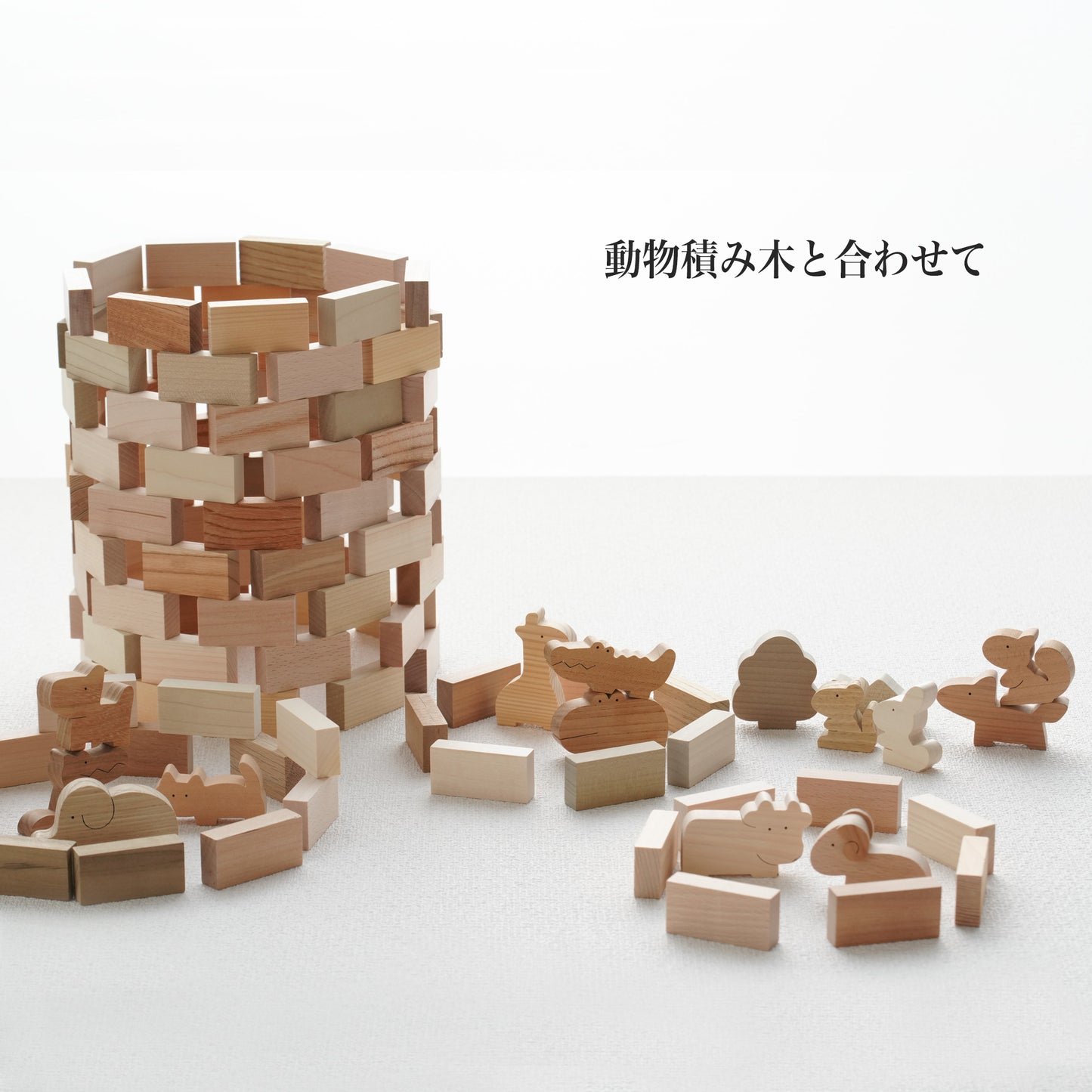 Basic Building Blocks