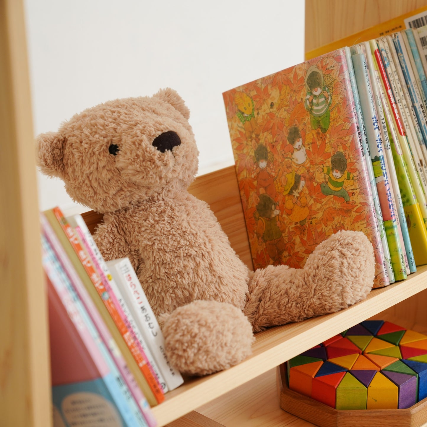 Library picture book rack