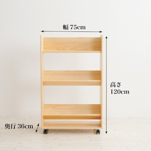 Library picture book rack