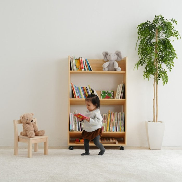 Library picture book rack