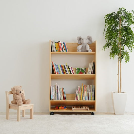 Library picture book rack