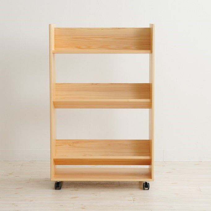 Library picture book rack