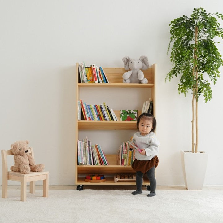 Library picture book rack