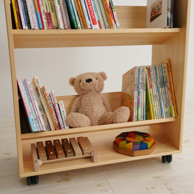 Library picture book rack