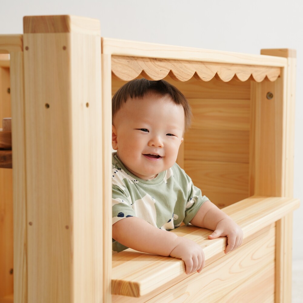 Assembled mini house