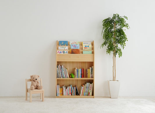 Adult and Children's Picture Book Shelf