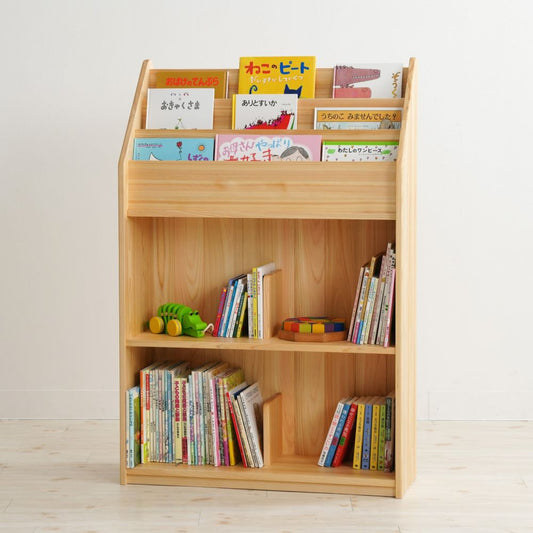 Adult and Children's Picture Book Shelf