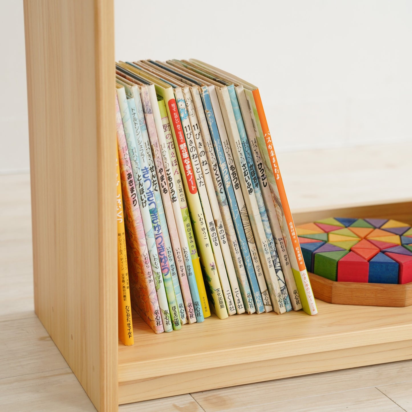 Slim Picture Bookshelf