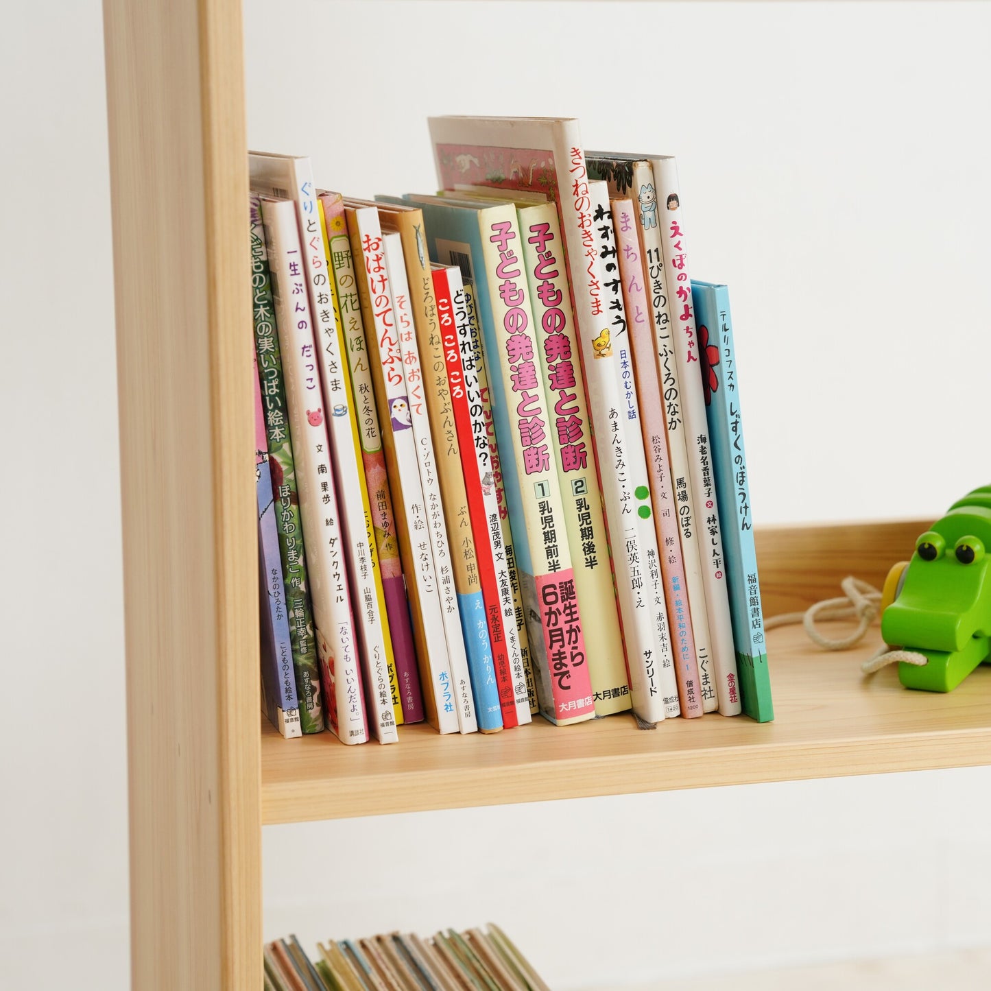 Slim Picture Bookshelf