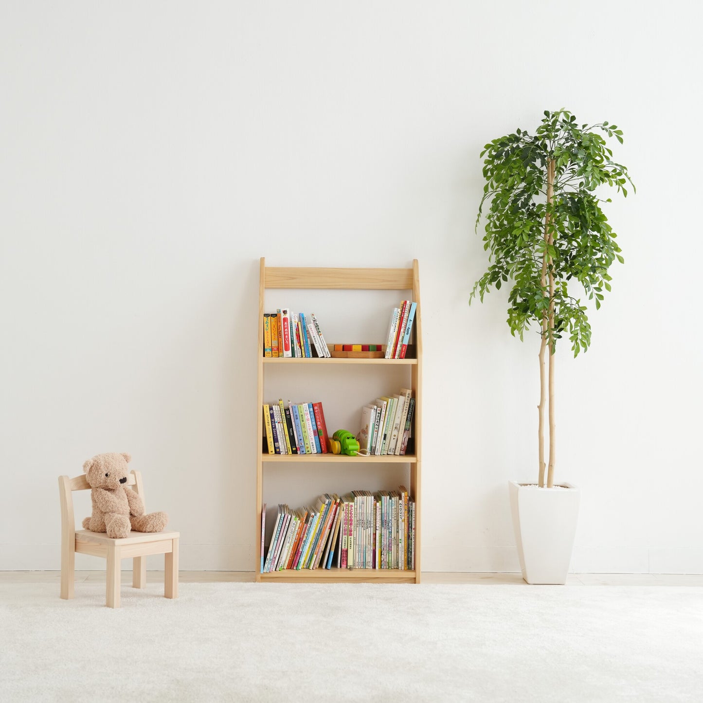 Slim Picture Bookshelf