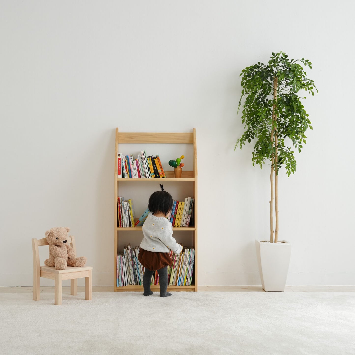 Slim Picture Bookshelf