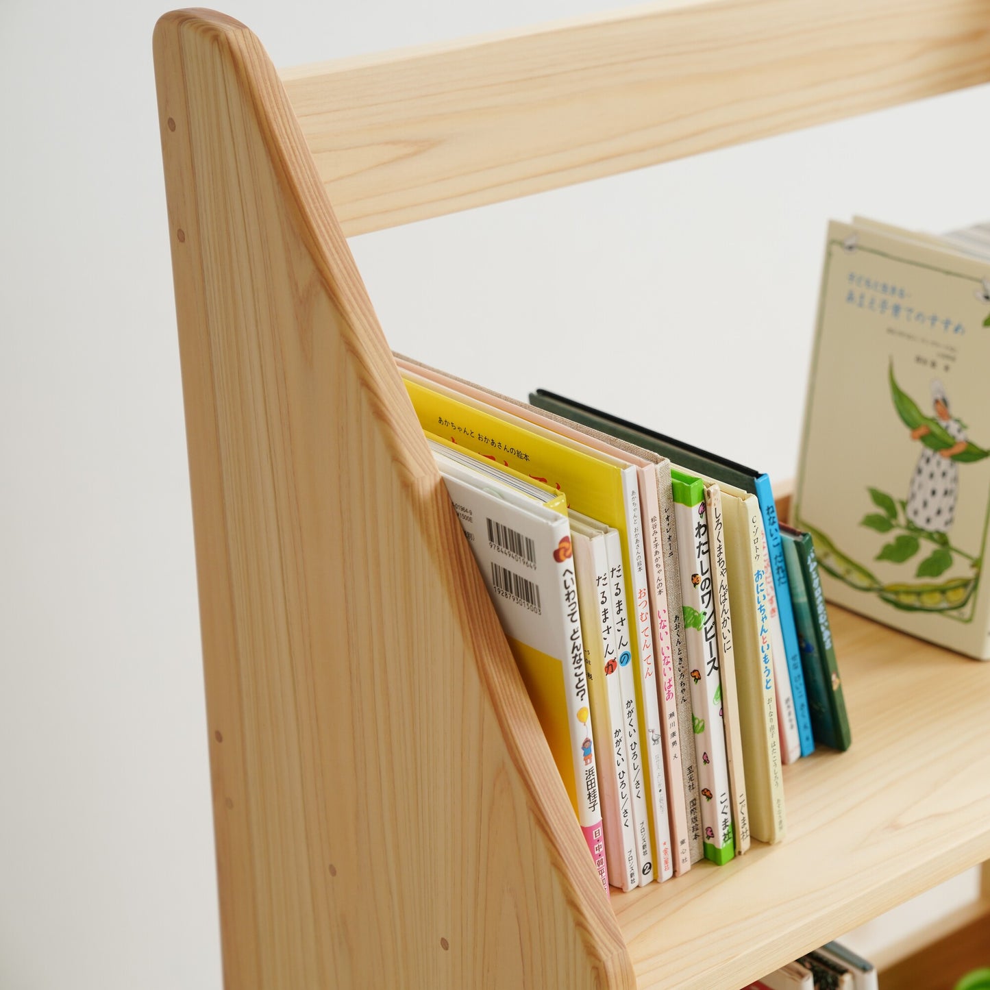 Slim Picture Bookshelf