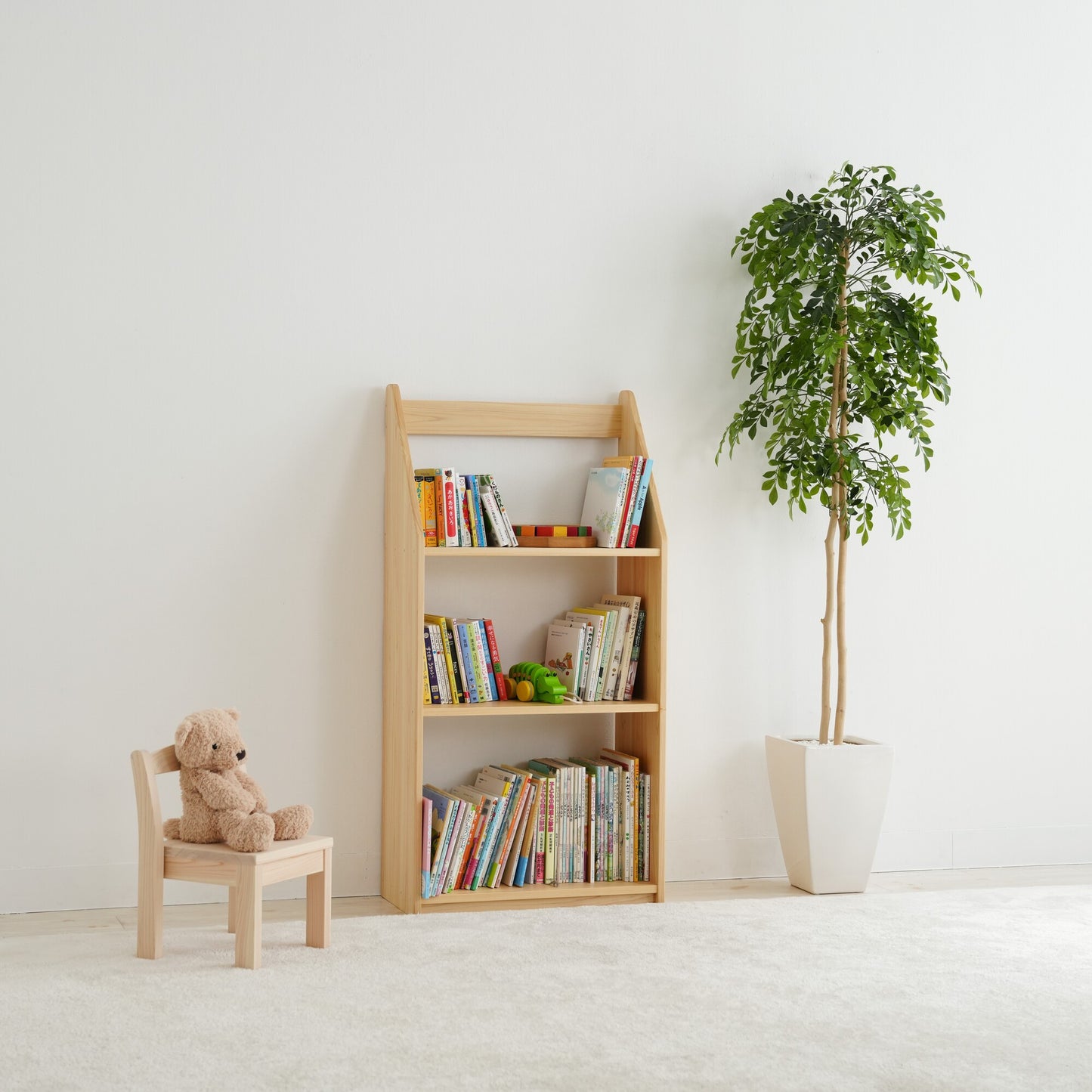 Slim Picture Bookshelf