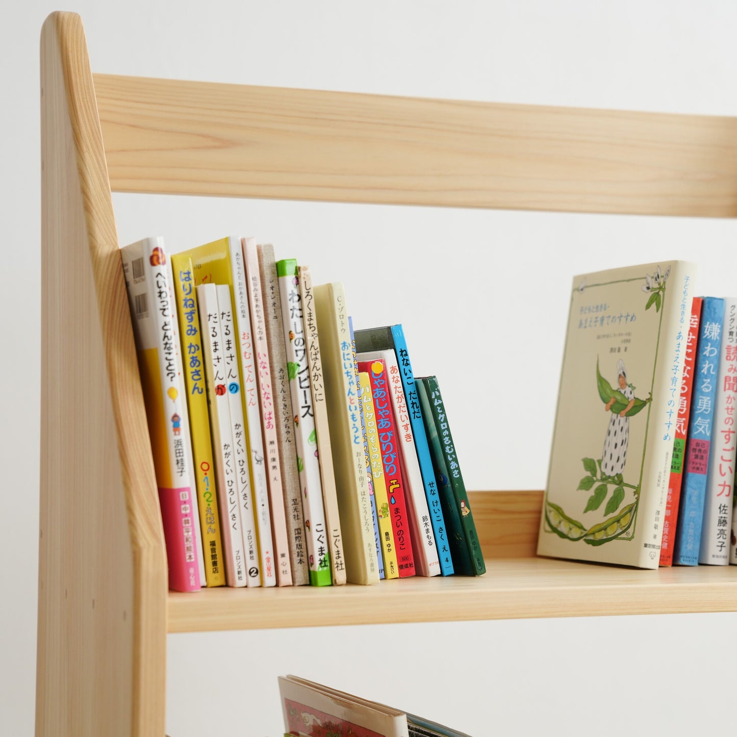 Slim Picture Bookshelf