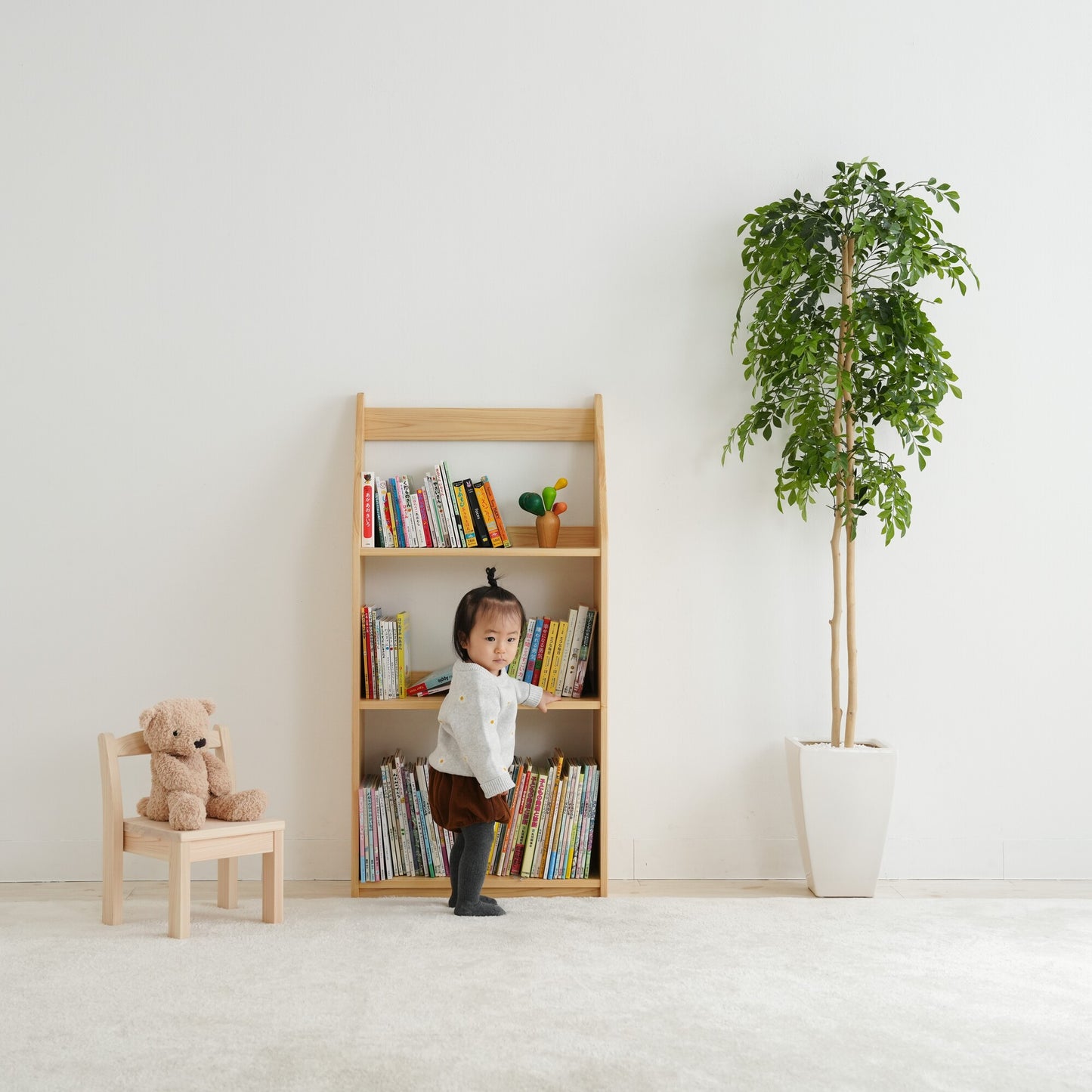 Slim Picture Bookshelf