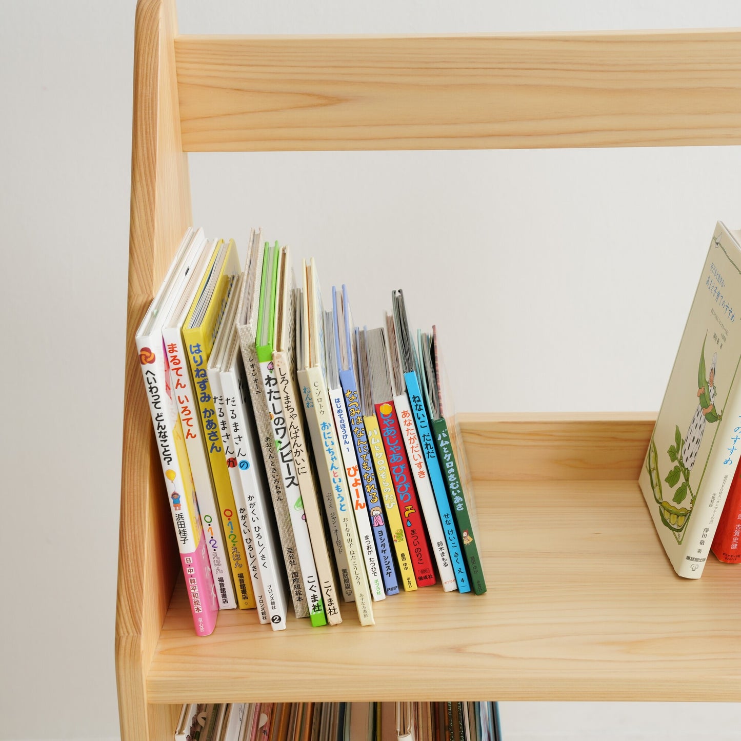 Slim Picture Bookshelf
