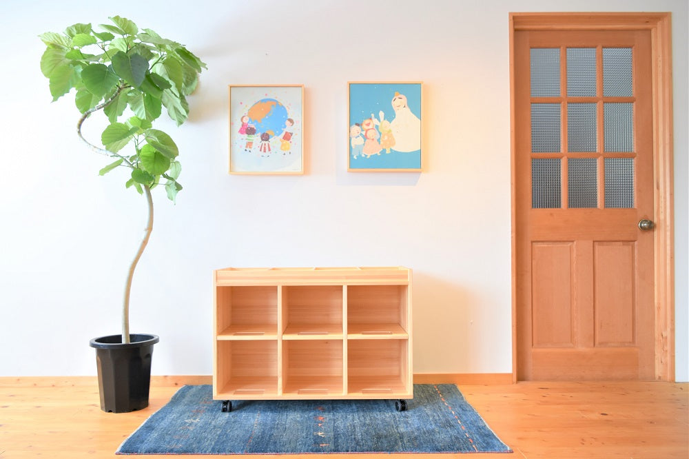 Zoned Storage Shelf 650