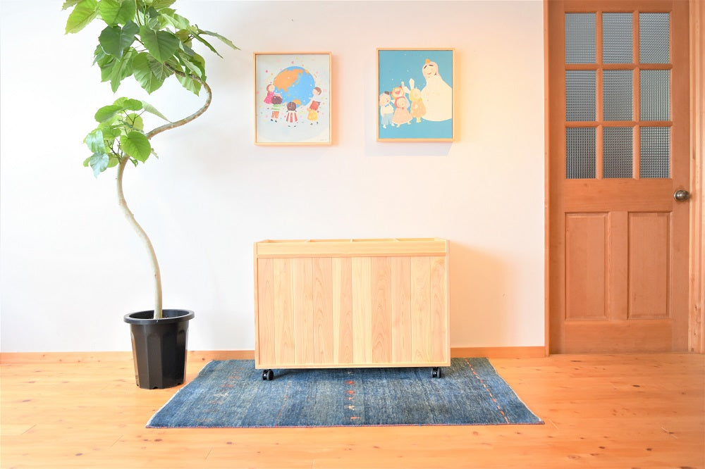Zoned Storage Shelf 650