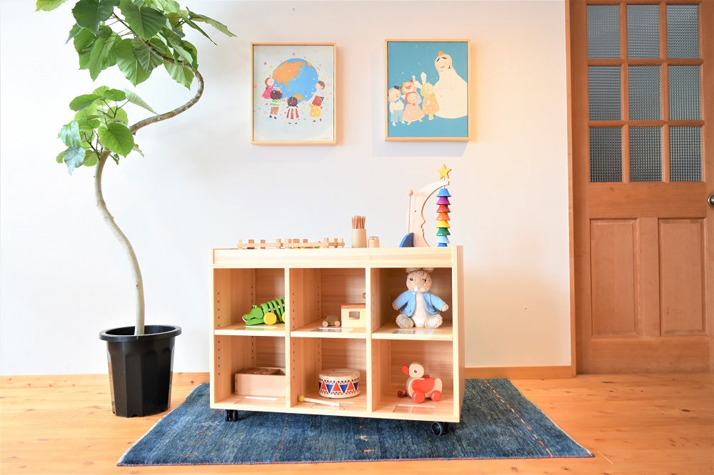 Zoned Storage Shelf 650