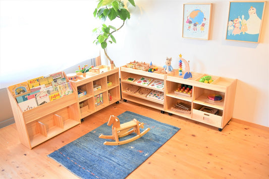 ゾーニング収納棚650