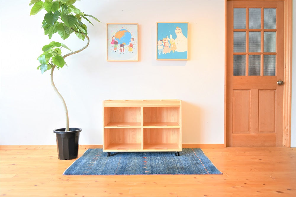 Zoned Storage Shelf 650