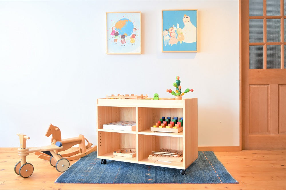 Zoned Storage Shelf 650