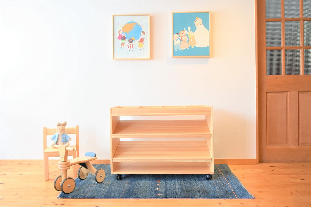 Zoned Storage Shelf 650