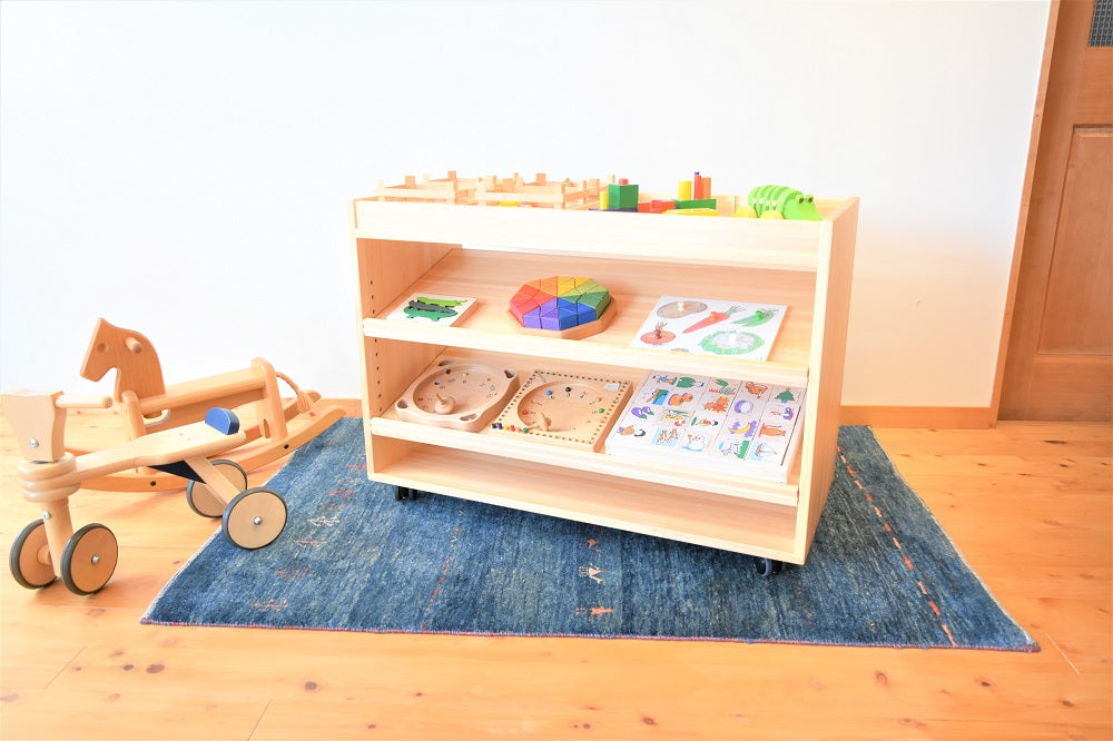 Zoned Storage Shelf 650