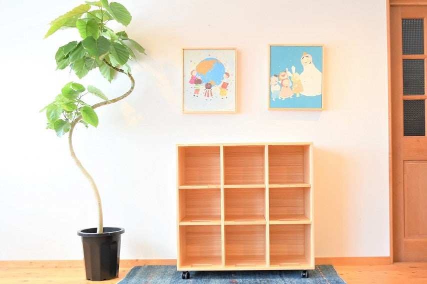 Zoning Storage Shelf 900