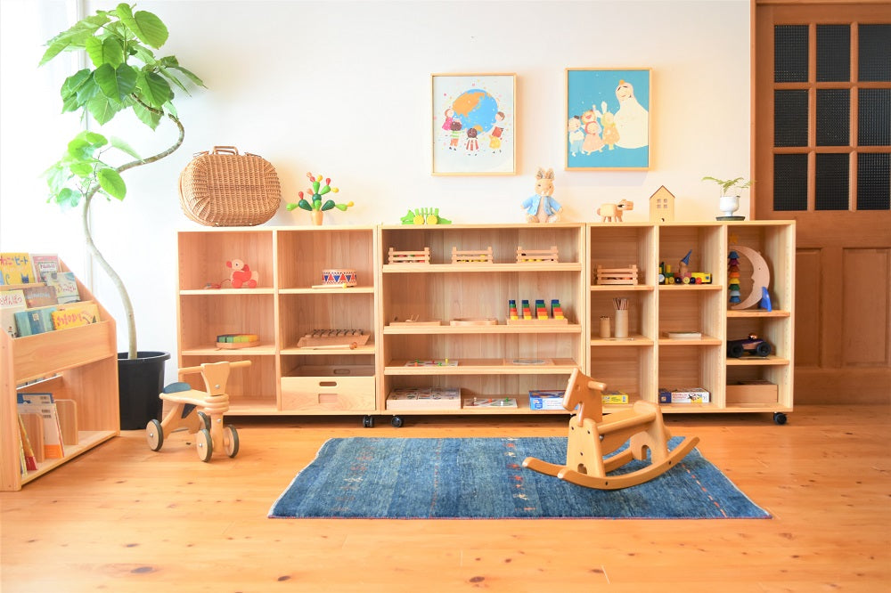 Zoning Storage Shelf 900