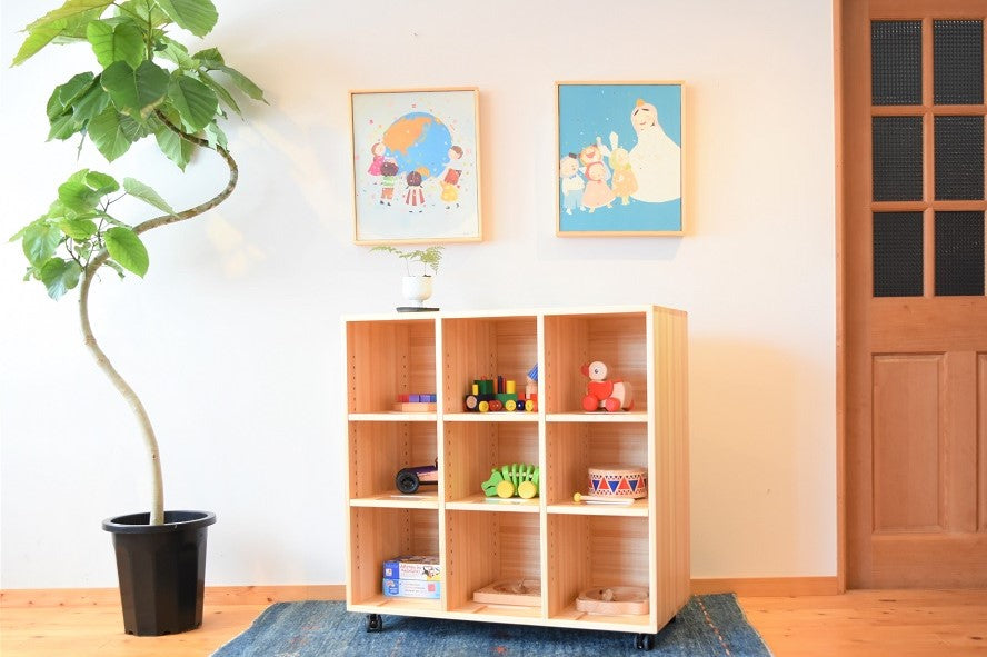 Zoning Storage Shelf 900