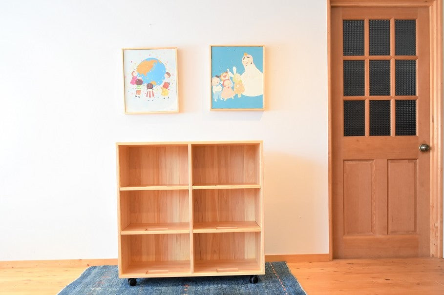 Zoning Storage Shelf 900