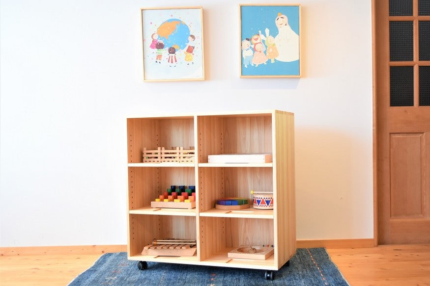 Zoning Storage Shelf 900