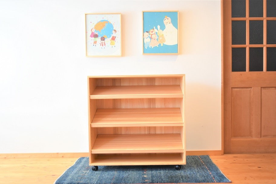 Zoning Storage Shelf 900