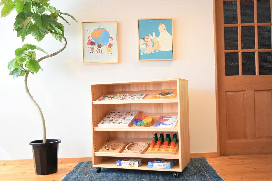 Zoning Storage Shelf 900