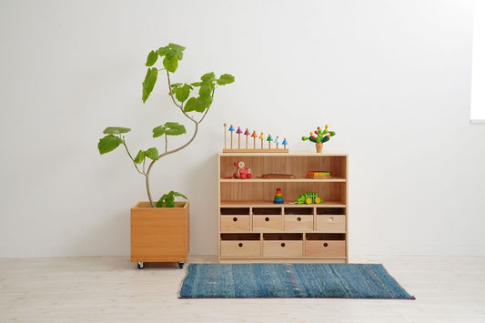 Toy and tool storage shelf B