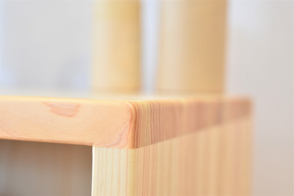 Simple Shoe Rack