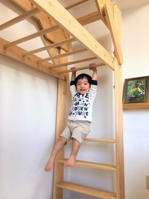 Indoor monkey bars
