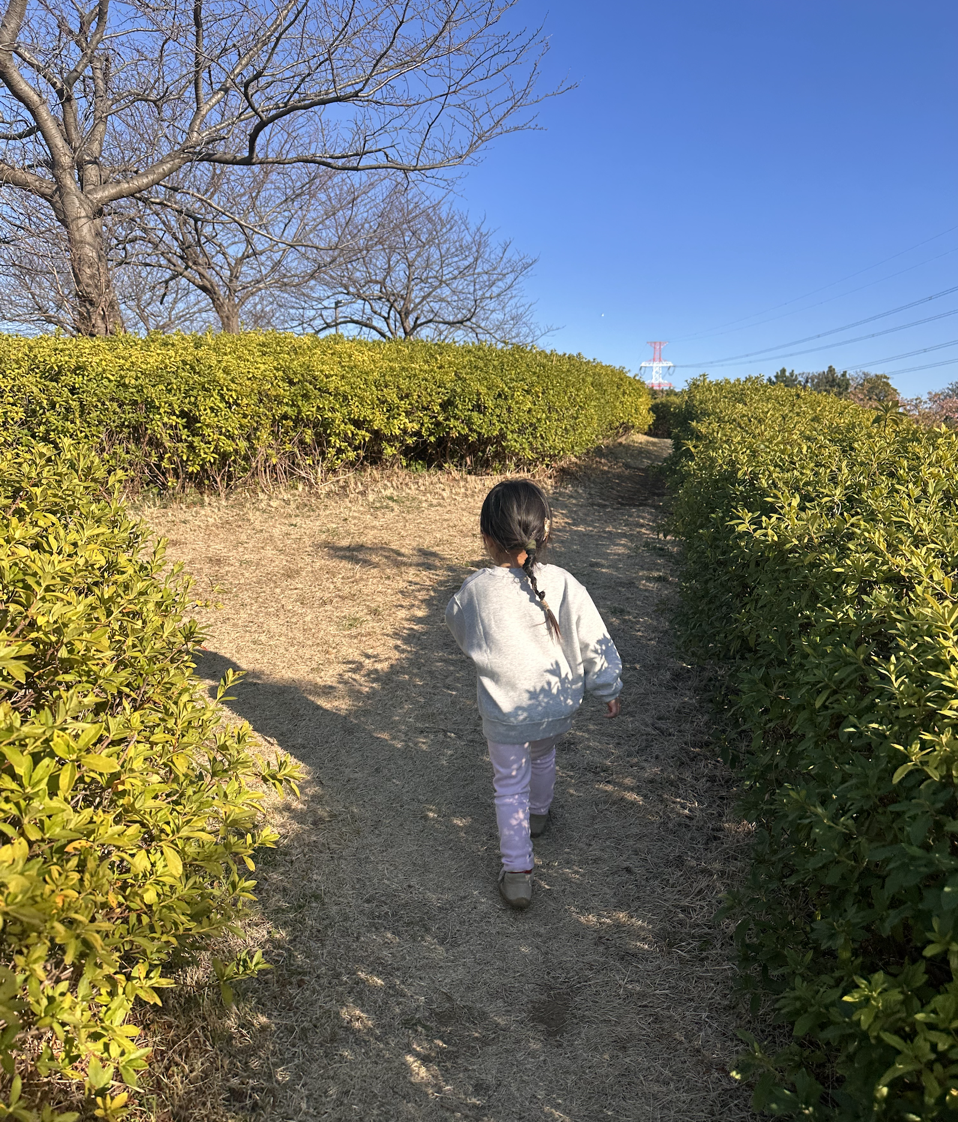 子どもの遊びと会社