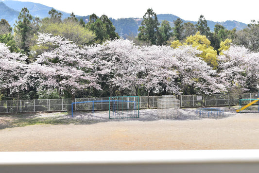 高知県　香美市立楠目小学校　下駄箱